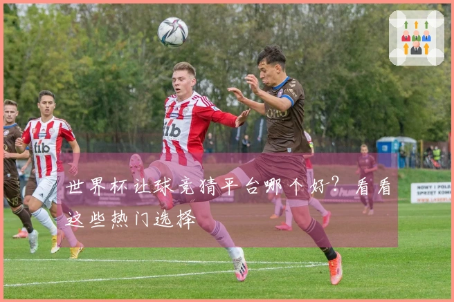 世界杯让球竞猜平台哪个好？看看这些热门选择