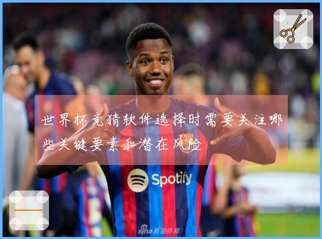 世界杯竞猜软件选择时需要关注哪些关键要素和潜在风险