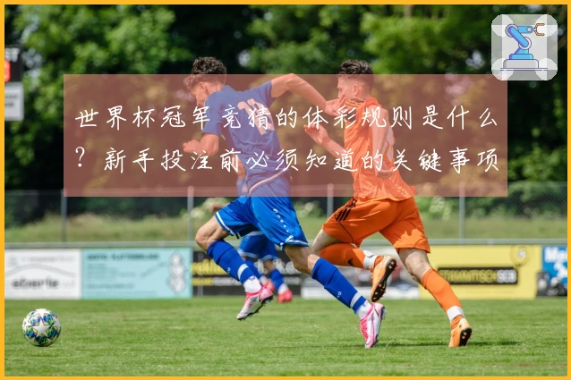 世界杯冠军竞猜的体彩规则是什么？新手投注前必须知道的关键事项